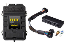Haltech 99 - 00 WRX | Australian Delivered & JDM Elite 1000 Plug - n - Play Adaptor Harness ECU Kit - JDMuscleNon - CategorizedhalHT-150822