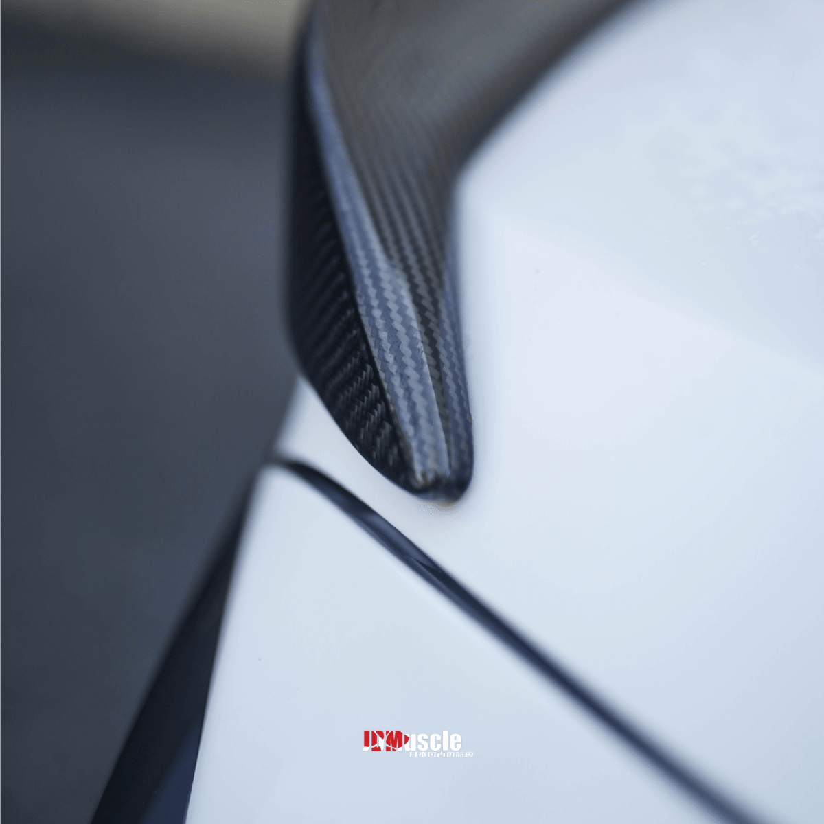 JDMuscle [22 - 26 WRX] Tanso Carbon Fiber Duck Bill V1 - JDMuscleSpoilers and WingsJDM-WRX22-DB1