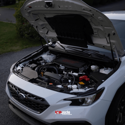 JDMuscle [22 - 26 WRX] Top Mount Intercooler Mesh Guard with WRX/STI Logo - Red/White - JDMuscleIntercooler ShroudsJDM-WRX22-TMIG.9STIBlackRed