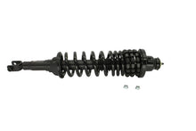 KYB Rear Right Struts Plus Honda Accord 1994-1997 | SR4049 - JDMuscleStruts And ShockskybSR4049