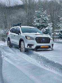 LXT Ascent Smart Bundle - JDMuscle