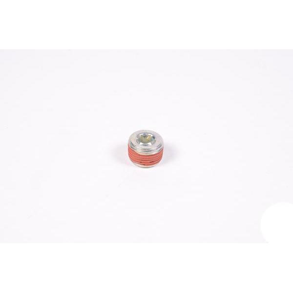 Radium Engineering 3/8 NPT Plug - Universal – JDMuscle