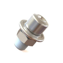 Radium Engineering Fuel Pulse Damper - Universal