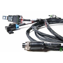 Radium Engineering Fuel Surge Tank Wiring Harness - Fully Populated - Universal