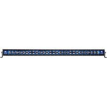 Rigid Industries Radiance 50in Blue Backlight Universal | 250013