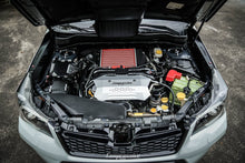 XTI Engine Bundle - JDMuscle